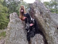 /album/fotogalerie/fota-mobil-7-6-2009-088-jpg/